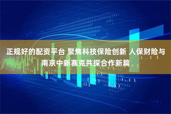 正规好的配资平台 聚焦科技保险创新 人保财险与南京中新赛克共探合作新篇