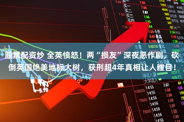 股票配资炒 全英愤怒！两“损友”深夜恶作剧，砍倒英国绝美地标大树，获刑超4年真相让人瞠目！